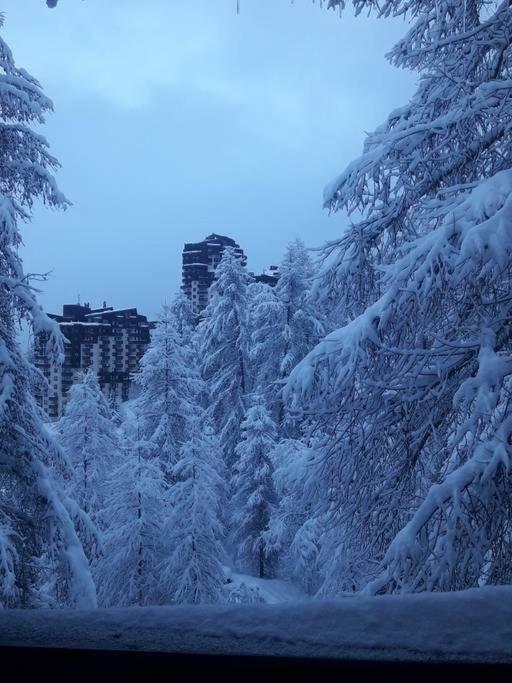 Les Ecrins Apartment